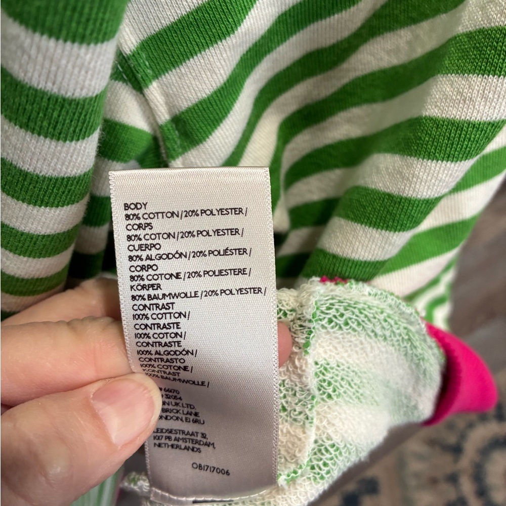 We The Free Green and Pink Striped Sweatshirt - Picture 6 of 7